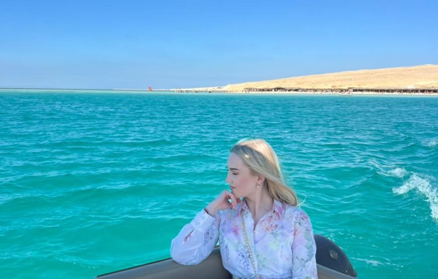 Speed Boat Private 4 hours watching Dolphins & Island visits