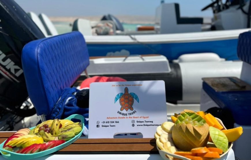 Speed Boat Private 4 hours watching Dolphins & Island visits