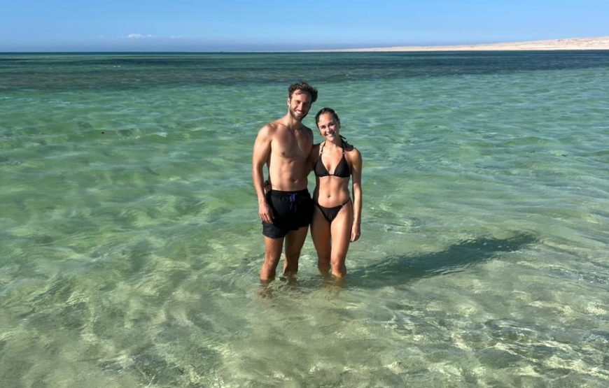 Speed Boat Private 4 hours watching Dolphins & Island visits