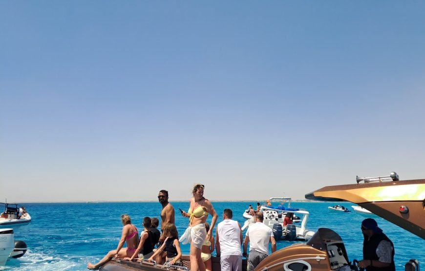 Speed Boat Private 4H guarantee Swimi with Dolphins